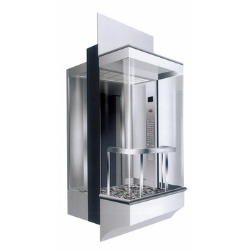 Panoramic Elevator with 800kg Square Cabin (LL-021)